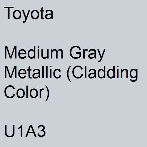 Toyota, Medium Gray Metallic (Cladding Color), U1A3.